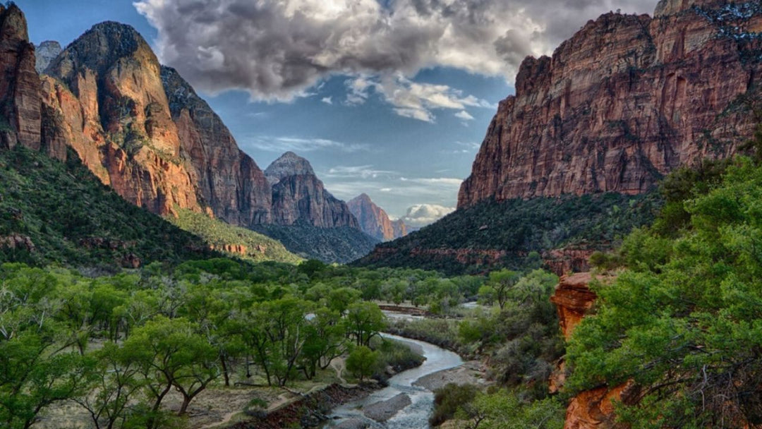 Best Hikes in Zion National Park