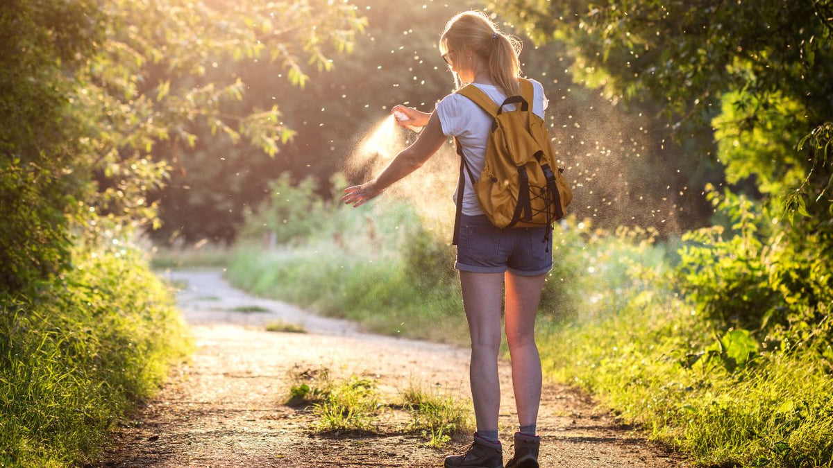 How to Avoid Ticks While Hiking