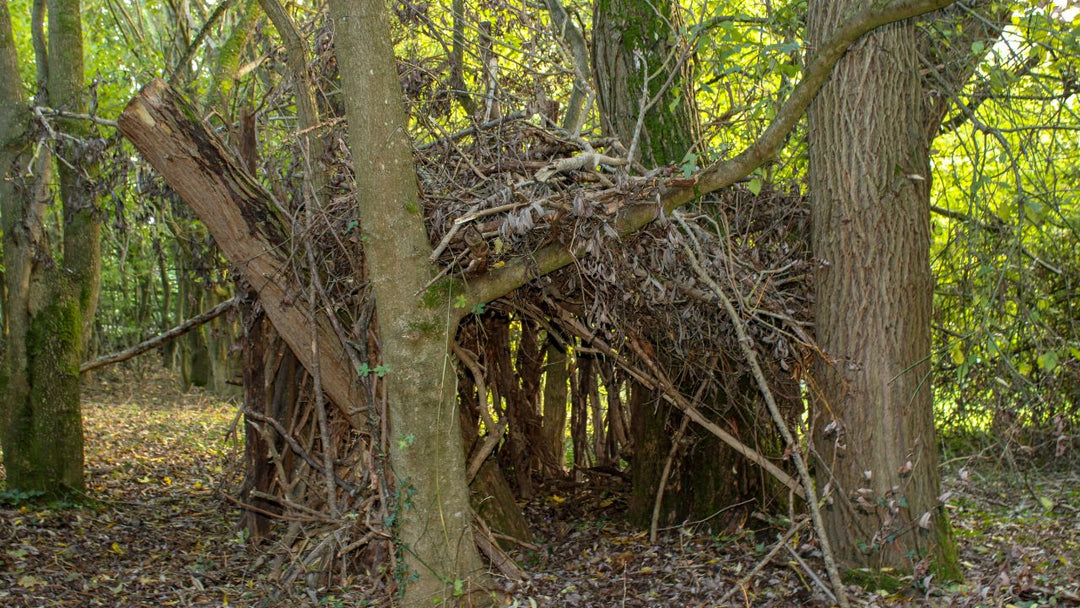 Wilderness Survival Skills: A Comprehensive Guide